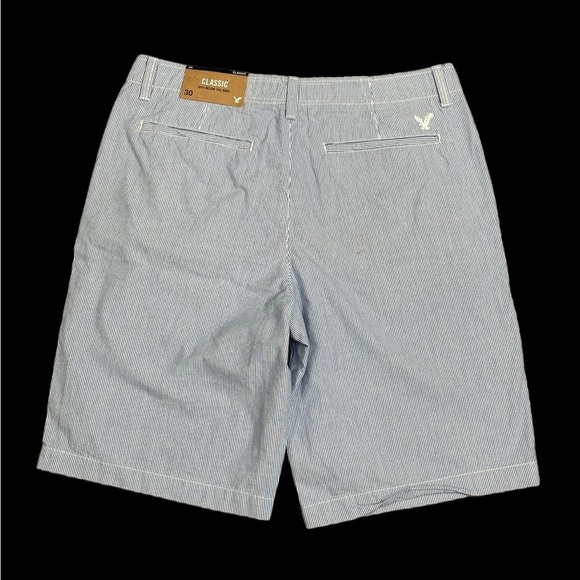 Men's American Eagle AEO 30 Small Shorts Pin Stripes Blue White Chino Khakis NWT - Picture 3 of 9
